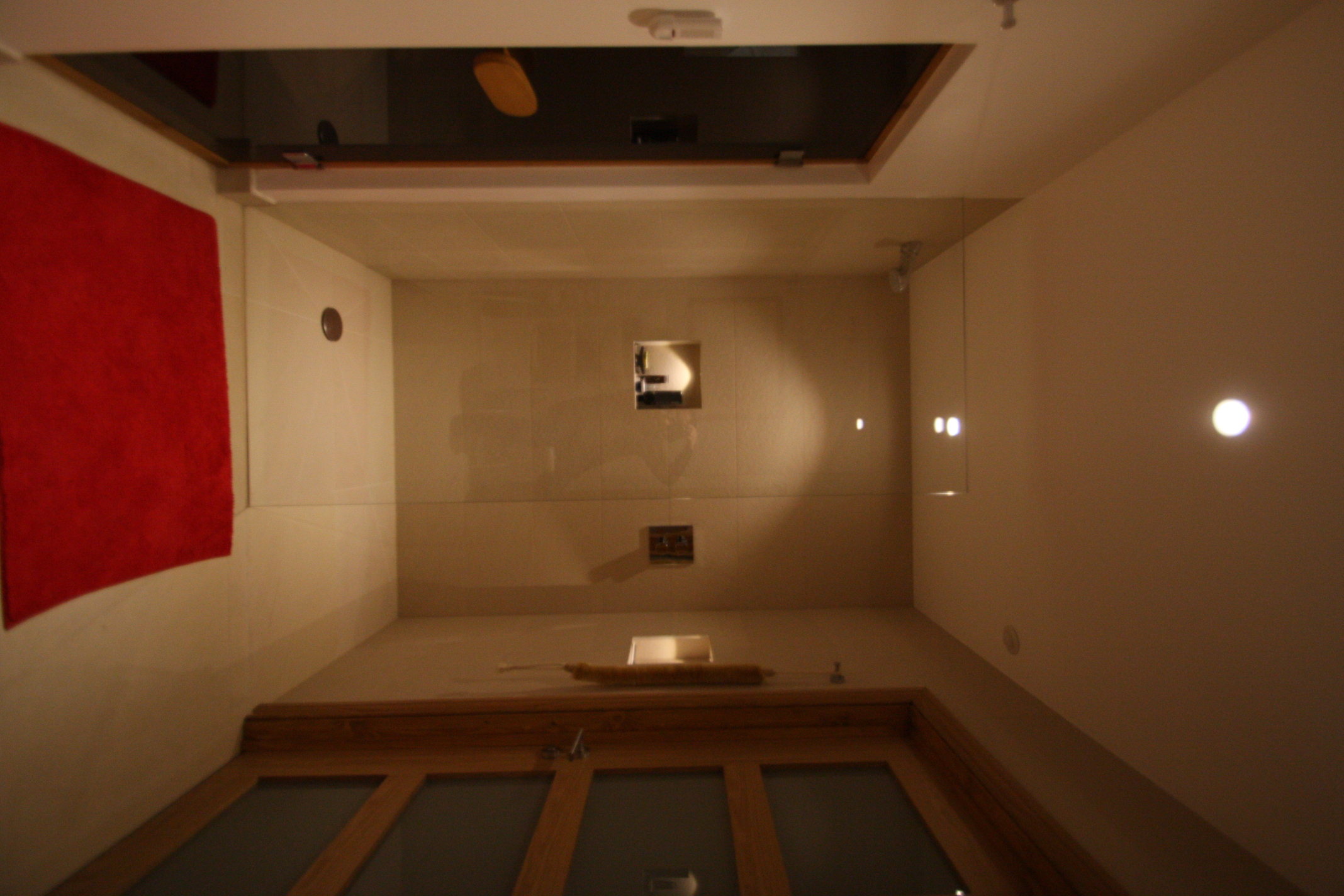 Modern Basement & Sauna